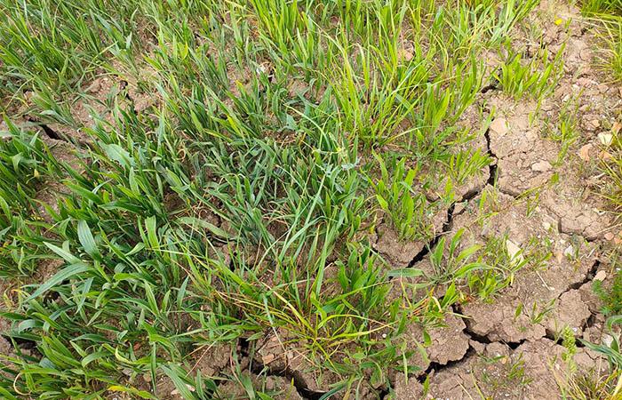 Recherche d'eau souterraine Toulon